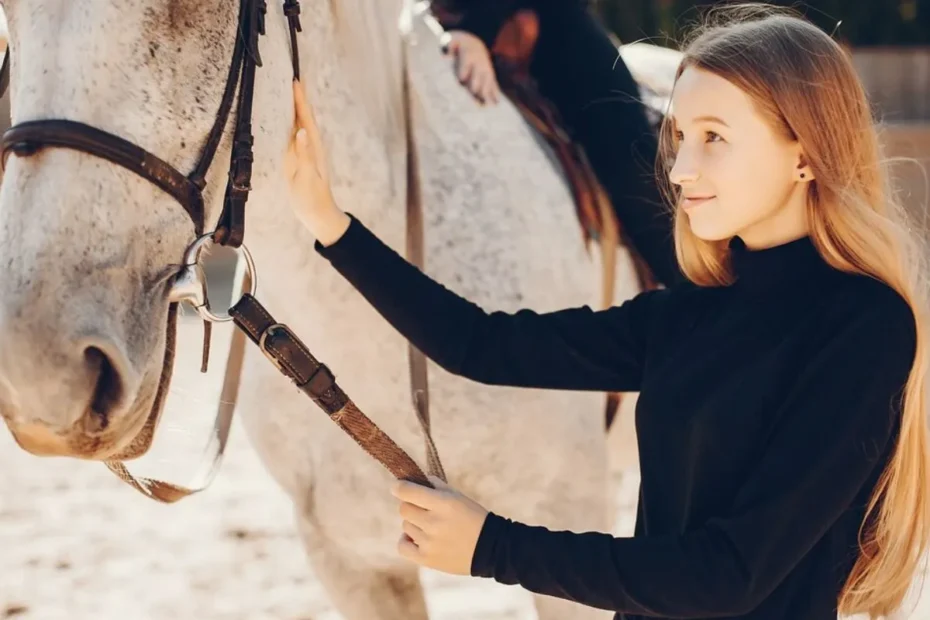 Equestrian Art Exhibitions
