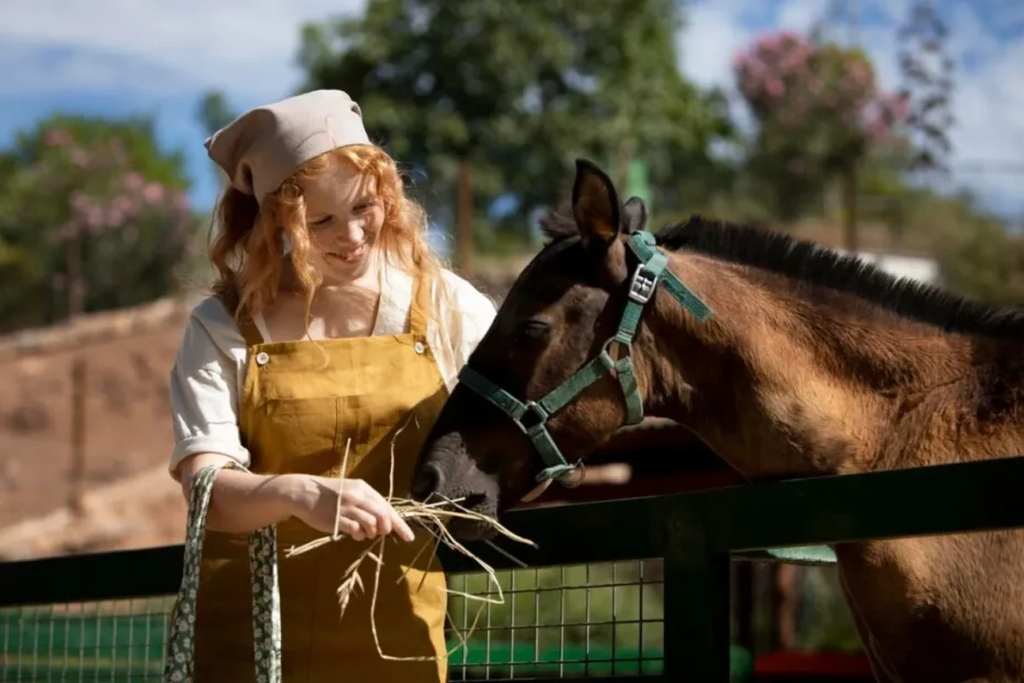 Equestrian Portrait Photography Tips