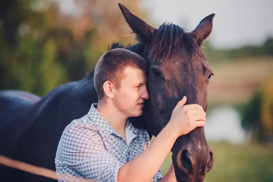 Equine Cushing’s Disease