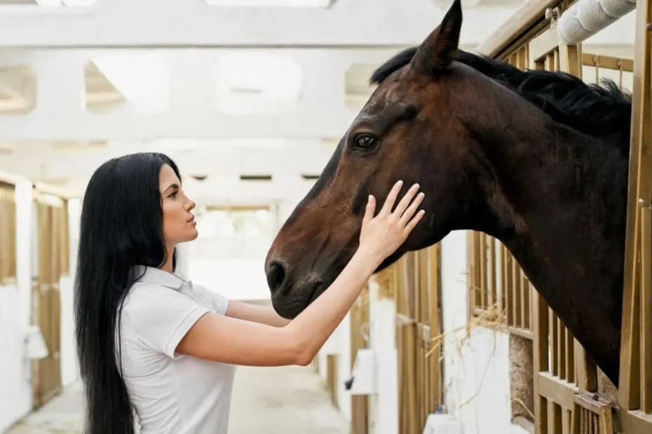 Equine Gastric Ulcers