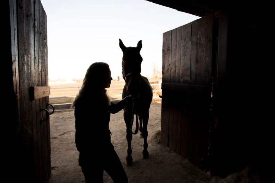Photographing Equestrian Events