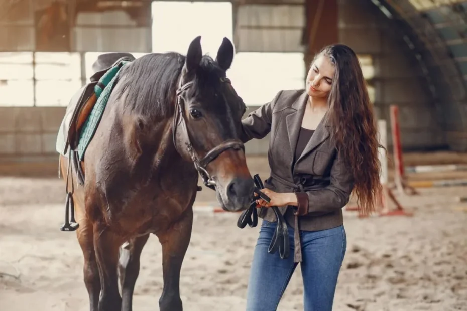 Post-Processing Techniques for Equestrian Photos