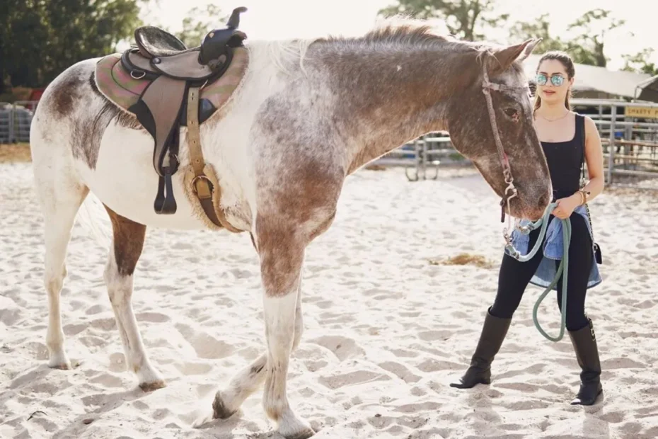 Recognizing Early Signs of Colic in Horses