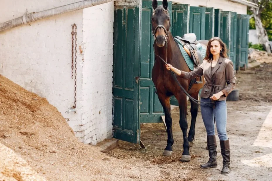 The Evolution of Equestrian Art