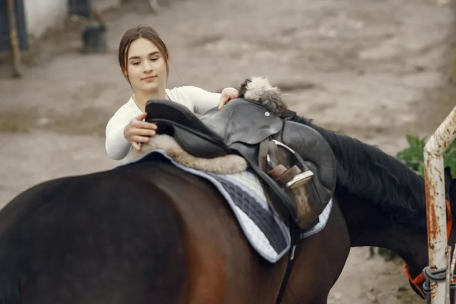 Trail Riding Tips for Beginners