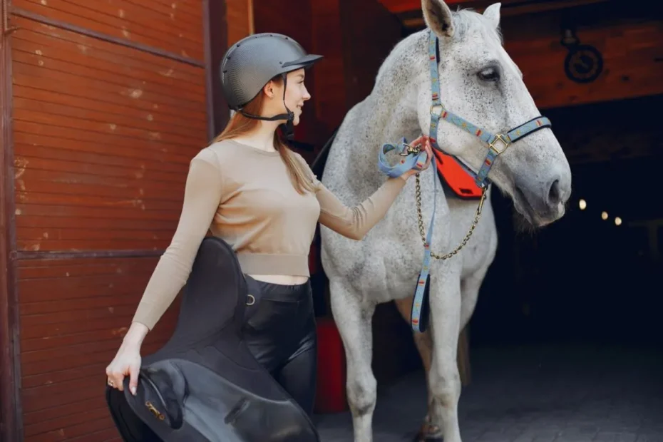 Understanding Equine Arthritis