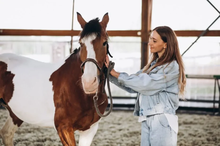 Using Natural Light in Equestrian Photography